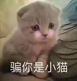  排位喜提新地图,经典竞技再优化