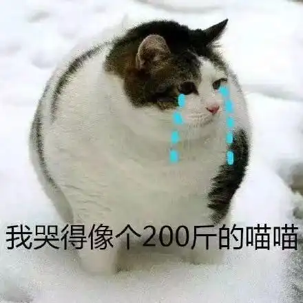 猫拿话筒唱歌的表情包