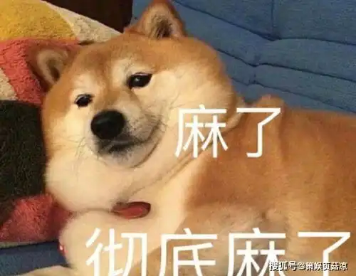  赵露思给宋茜道歉,点赞负评纯属手滑,表情包太搞笑不得不原谅
