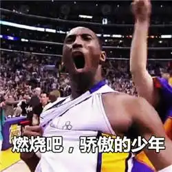 科比我回来了表情包