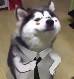 大哥表情包搞笑图片搞笑