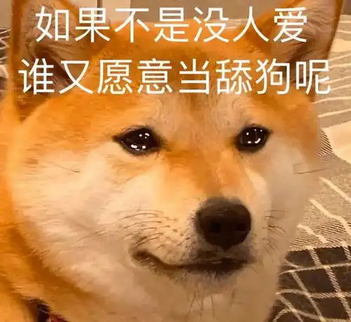 那些招狗喜欢的人,据说有这些特点