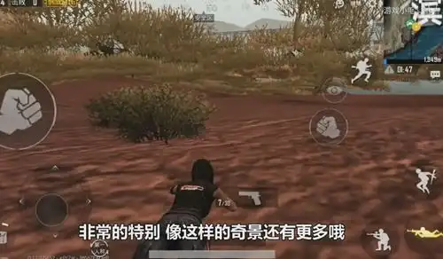  绝地求生刺激战场滨海小镇遁地bug