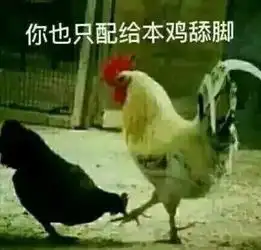 惊吓的鸡表情包