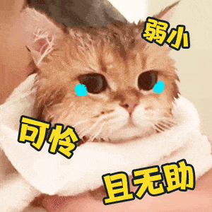 舔狗不得好死表情包gif