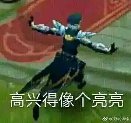 高兴得像个亮亮表情包