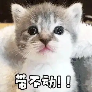  开心食堂你对我有感觉吗