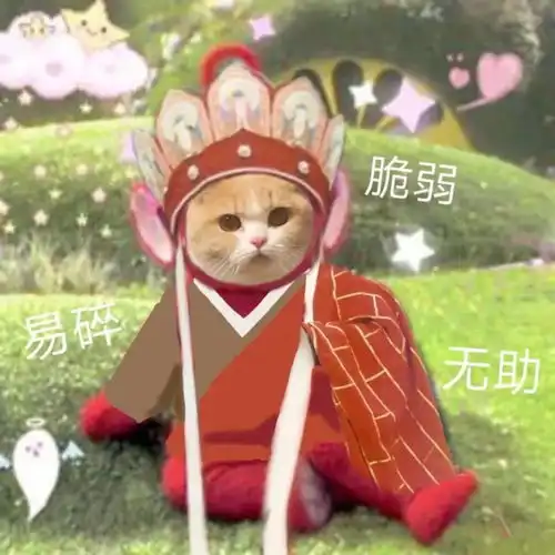  下半身胖的女生,真要命