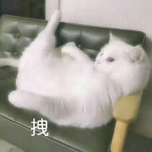  收藏夹