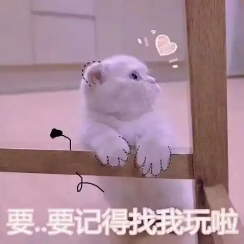  19岁一见钟情,相爱31年不离不弃,李咏的一生才该被改编成偶像剧吧