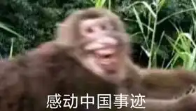  峨眉山开花猴不信谣,不传谣