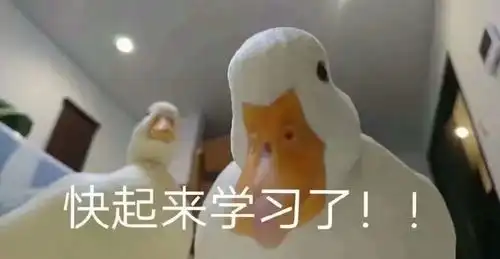  大同学们,这些陷阱你被绊倒过吗