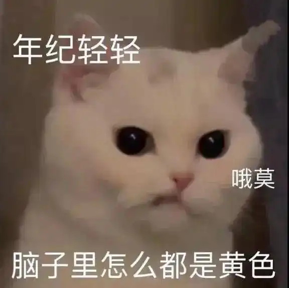  笑话想诈点婆婆的退休金