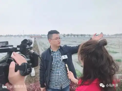  小蝌蚪找妈妈,我们找你,快来