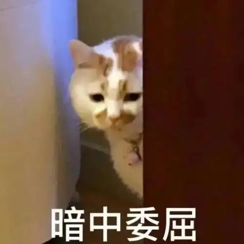 奖励亲亲的表情包大口