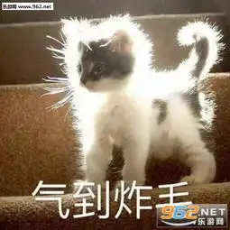  牵朕的手就现在表情包生气地走了萌宠表情包带字图片下载乐游网游戏下载