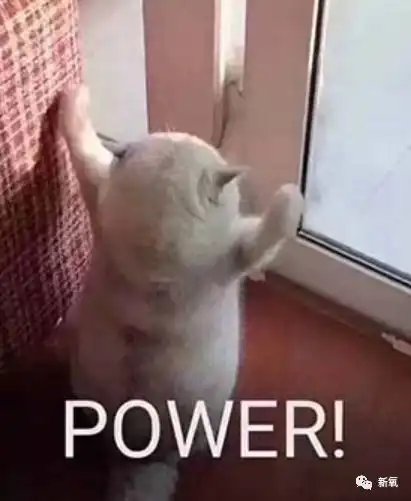  怎么看自己衰老到什么程度了