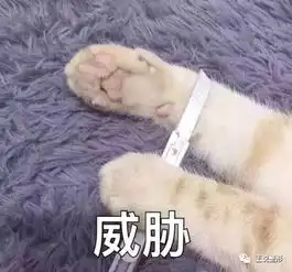  没有经过男友同意坚持割了双眼皮,最后被分手是我不对吗