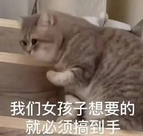  张良的黄金白羊座值得买吗