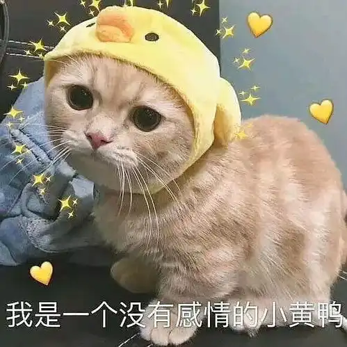  明白被当备胎之后想问,男生有多在乎女生腿粗违规图删了