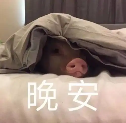 睡觉表情包高清句子