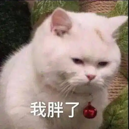  假期末专用猫猫表情包