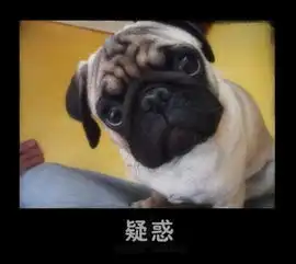  有什么好看的书和电视告诉我一下