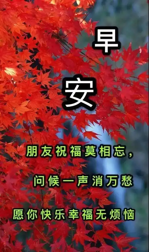  7张最美秋天枫叶早安图片带字带祝福语秋日风景早上好问候祝福图片精选