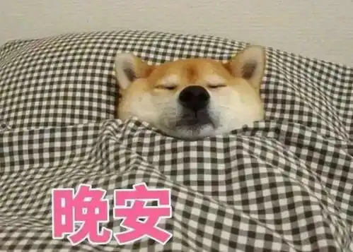  明天只有这里依然暴雨如注