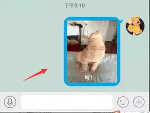  微信里头骰子动态图怎么弄zol问答