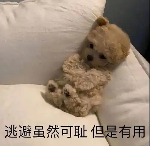  表情包为了狗命,睡觉吧
