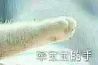  猫咪爪子的表情包