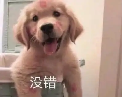  金毛犬的6大缺点,有的人养了之后很后悔