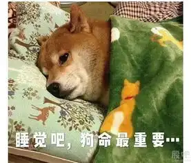  本人精通欧美需要合作的来非常勿扰时间都很宝贵没啥技术唯一的技术就是狗命