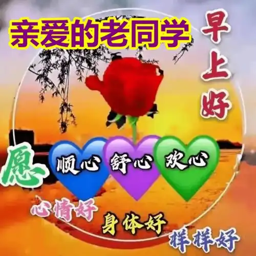 早上好表情包,亲爱的老同学,愿你心情好身体好样样好