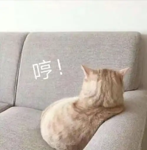  可爱猫咪表情包