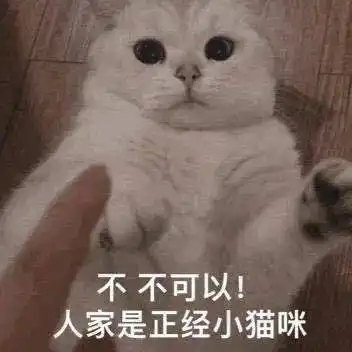  小猫咪不能讲脏话丨第966期喵表情包