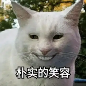  新奇好物