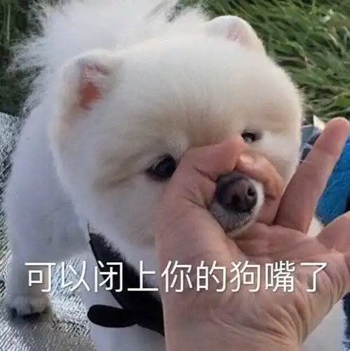 勇敢狗狗不怕困难表情包