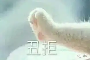 猫爪牵手表情包全套丑拒