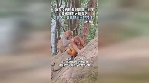 游客投诉没看到峨眉山猴子要求限期必须看到景区尊重野生猴群习性