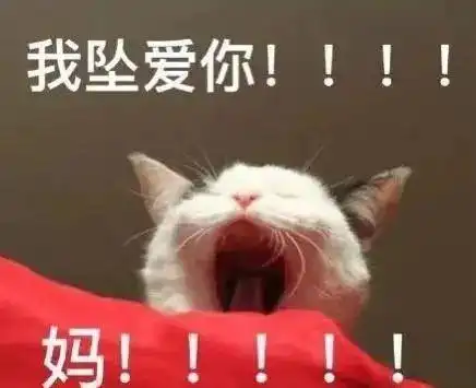  流浪狗殷勤讨好路人,只为给孩子找一个家我的孩子不能再流浪