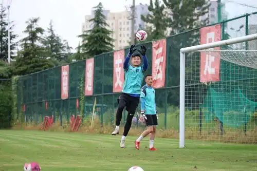  云动态斗图必备,支云狼兵表情包又双叒来啦