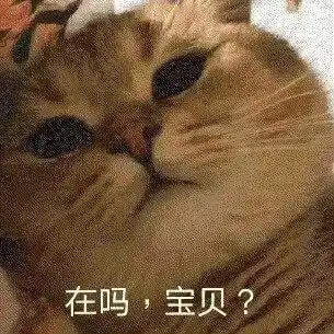  小情侣聊天表情包说不过你但我喜欢你