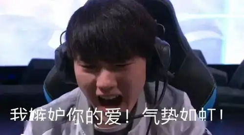  团长分享原来选手们的表情包是这么来的