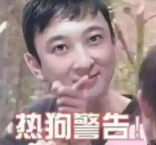 瞎说什么实话表情包孙一