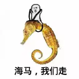  搜狐公众平台皮皮虾吃法大全这下看你还怎么走