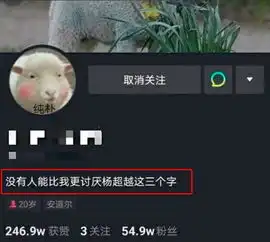  杨超越惨遭网红挑衅,她发文回怼言辞激烈,表情无奈超愤怒