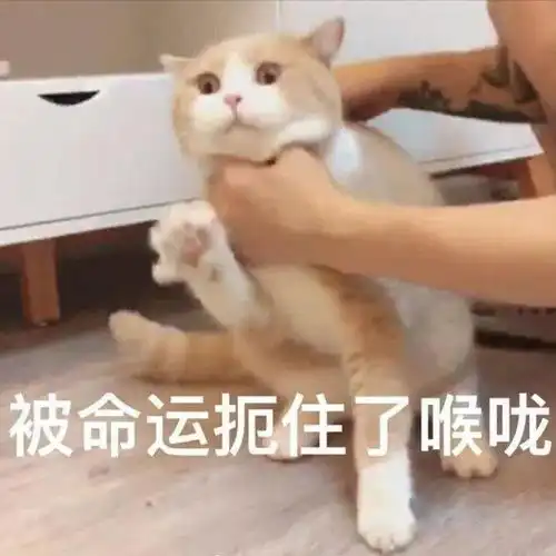  江苏高考480就能上清北不会吧不会吧不会吧