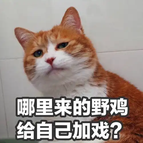  今晚的糊逼广场真的有点热闹大家年底冲业绩吗